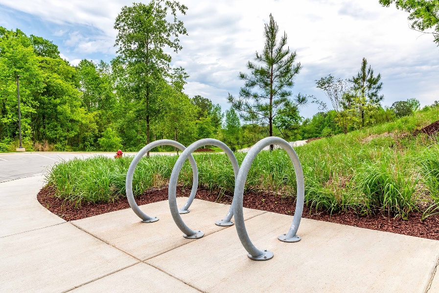 Orions on a hilltop-2-1