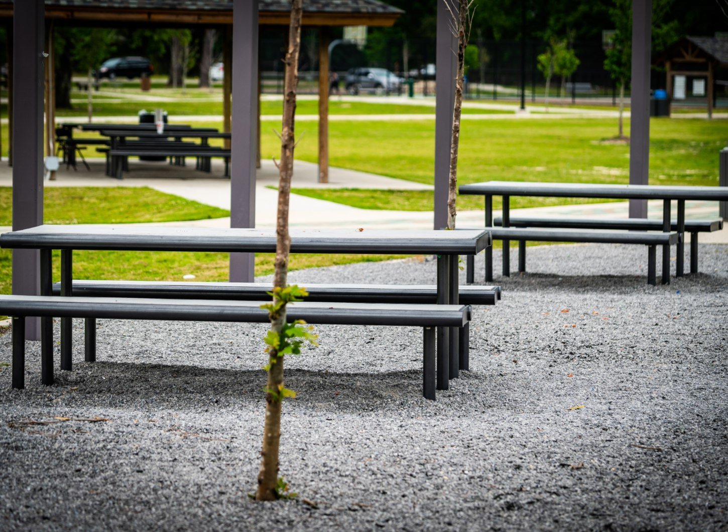 TS-Anthem-Picnic-ANTP-6S-RPG-Black-6