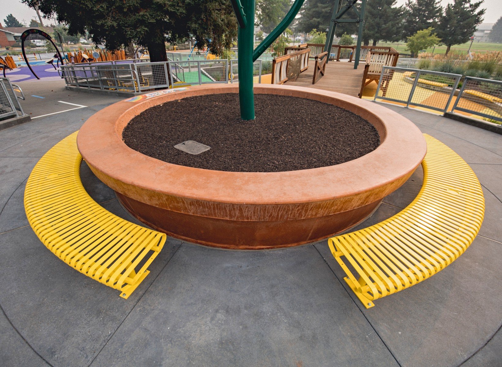 TS-Carnival-Curved-CRFC-X-SF-Yellow-2