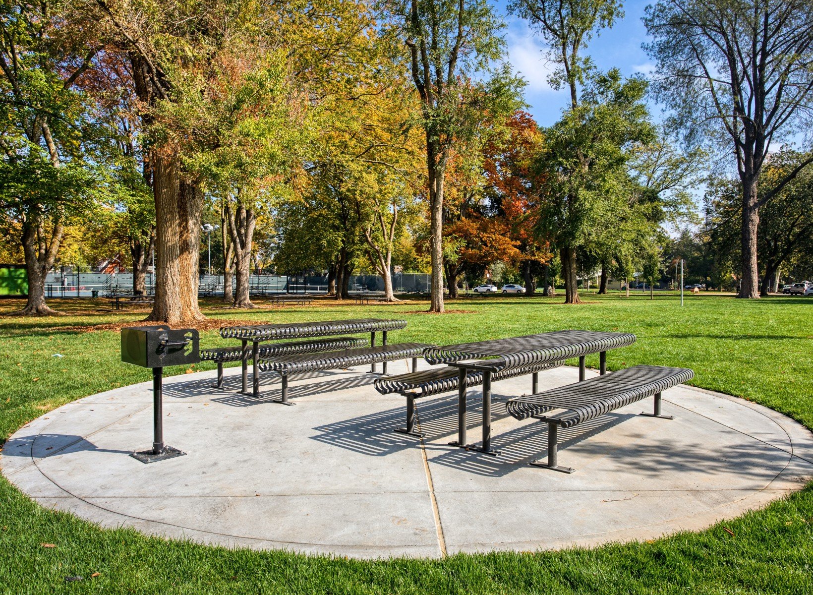 TS-Carnival-Picnic-CRTP-8S-Bronze-12-1