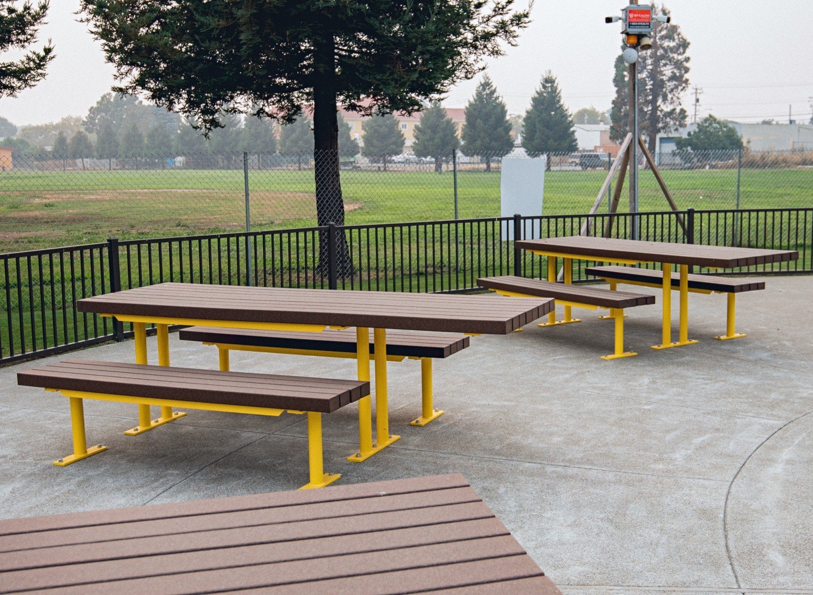 TS-Walden-Picnic-WDTP-8HCS-RPB-Yellow-2