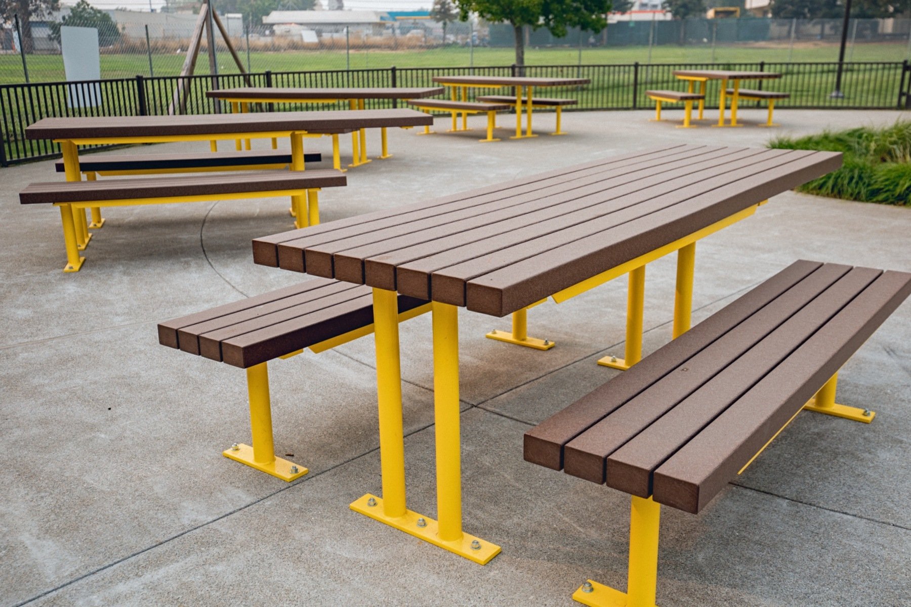 TS-Walden-Picnic-WDTP-8HCS-RPB-Yellow