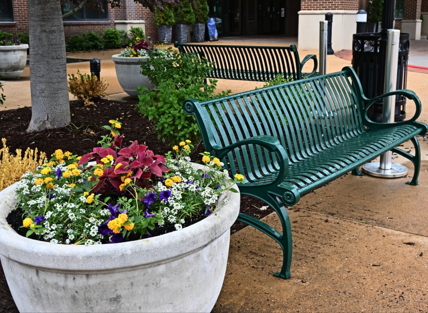 TS-Waldorf-Bench-WLB-6-VS-P-3