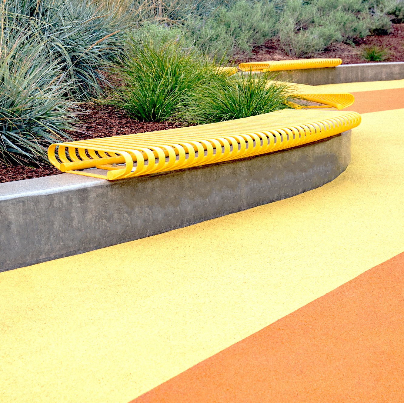 TS-Carnival-Curved-CRFC-X-WM-Yellow-2 copy