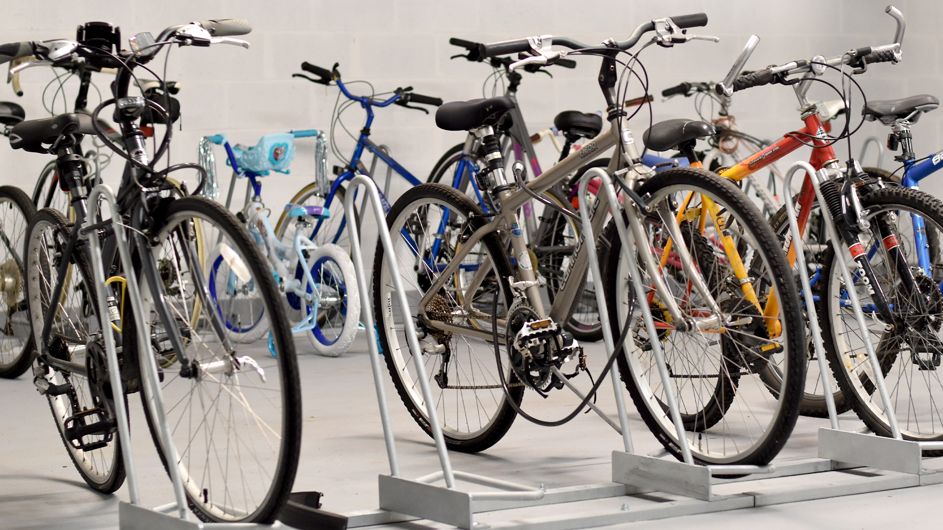 Long Term Bike Storage Room