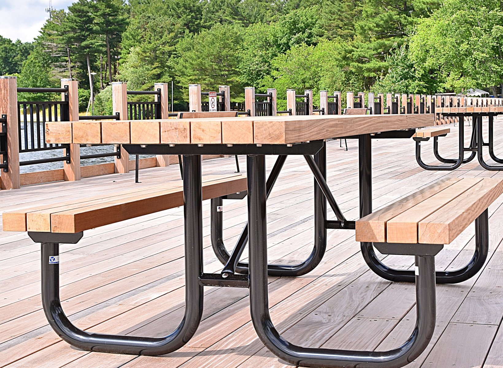 Massachusetts-TS-Walden-WDTFS-8HC (1)-1