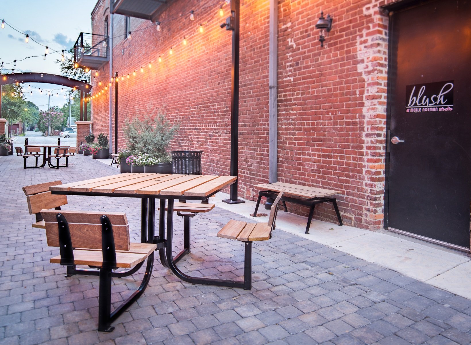 SouthCarolina-TS-Lofty-LOT-4B SouthCarolina-TS-Lofty-LOT-4B